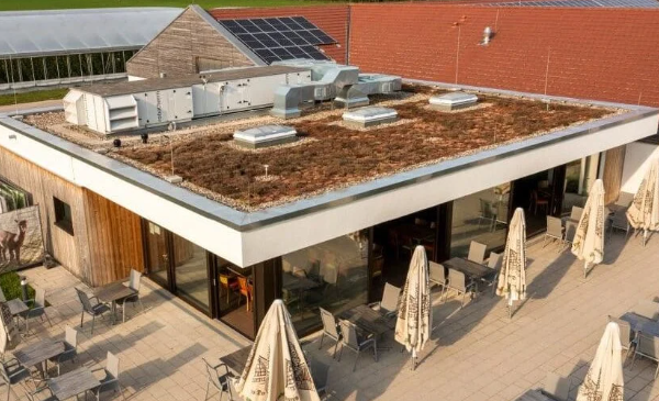 09.06.2026_Müßighof_2